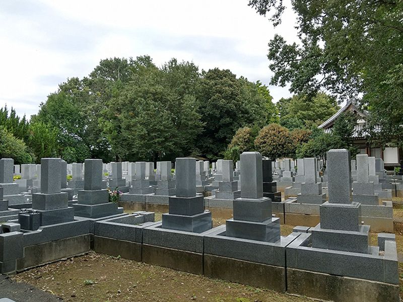 市川中央メモリアル風の丘