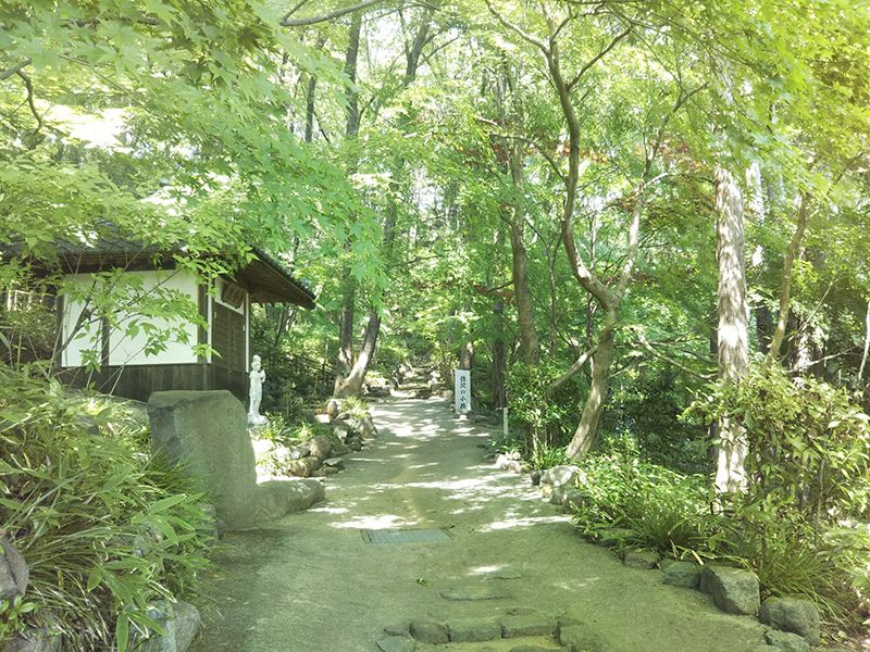 崇禅寺