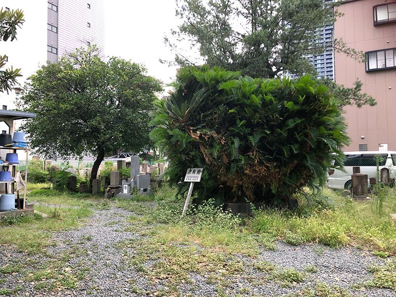 南浜霊園
