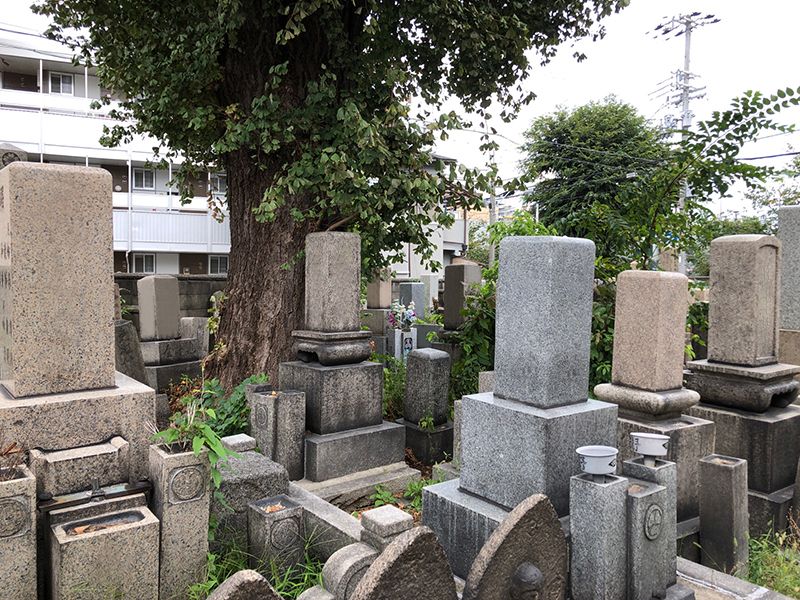 中道墓地
