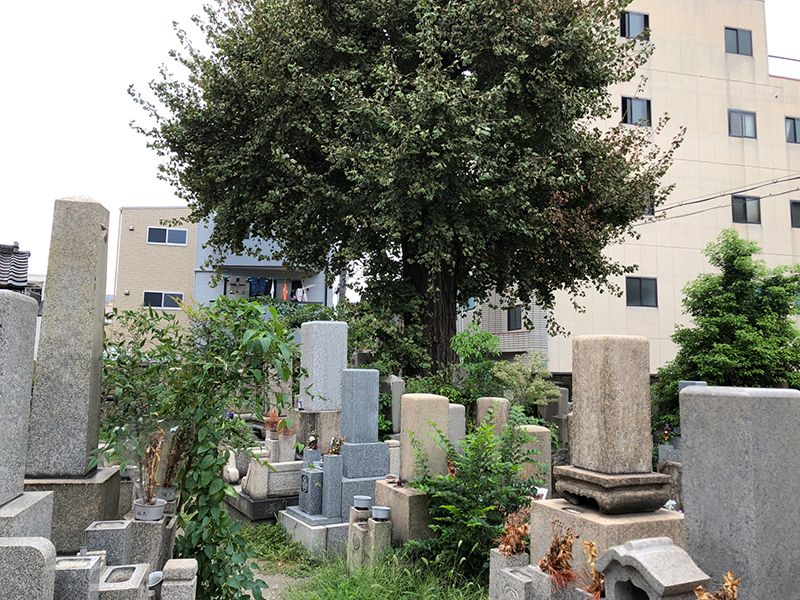 中道墓地