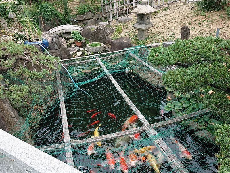 興徳寺