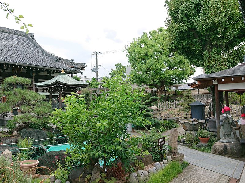 興徳寺