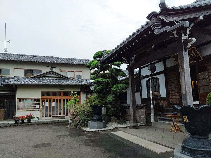 オリーブ光の庭園