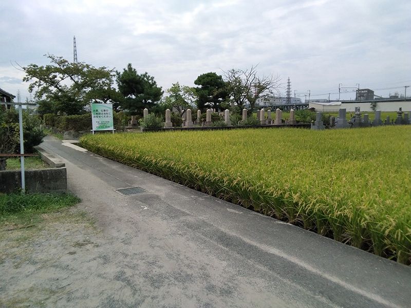 唐崎靖国共同墓地