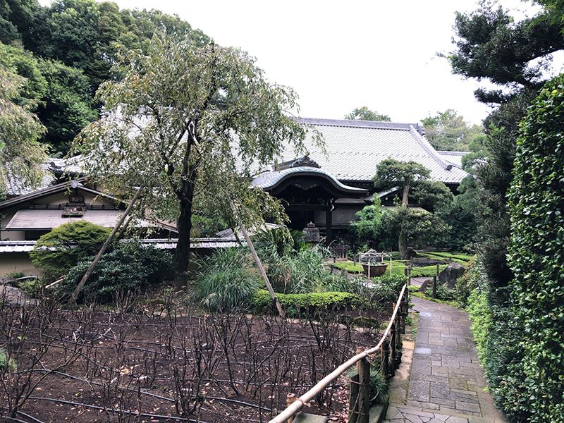 薬王院 (東長谷寺)