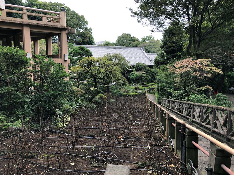 薬王院 (東長谷寺)