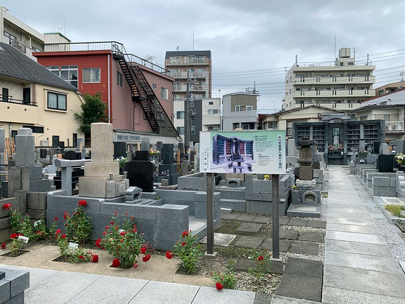 遍照院