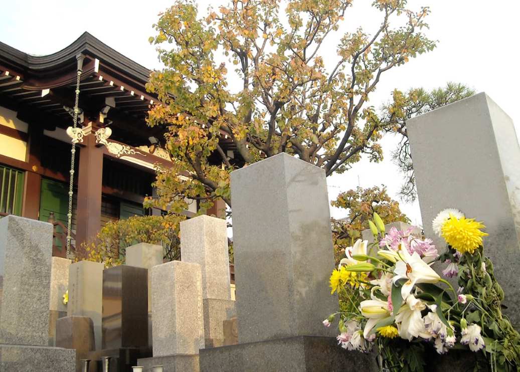 真宗大谷派 真英寺(眞英寺)