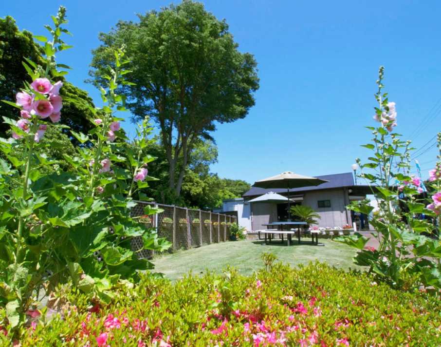 茅ヶ崎霊園 永久の郷　草花に囲まれた癒しの空間