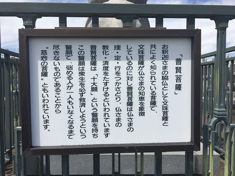 泉徳寺 のうこつうぼ