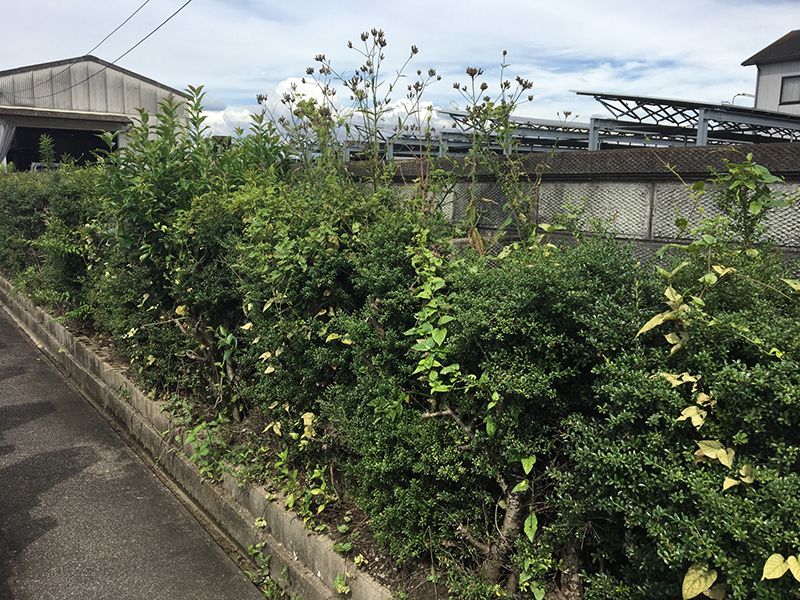 津島瑞專寺霊苑