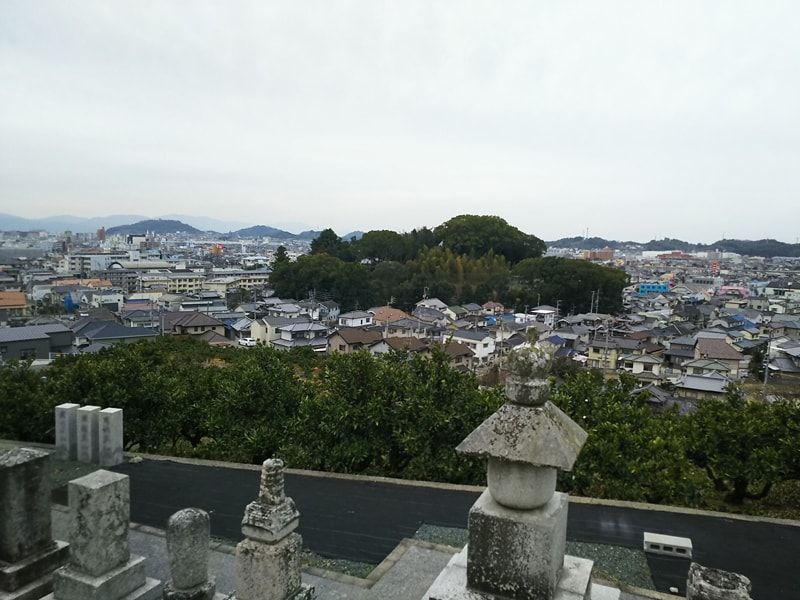 松山市営 谷墓地