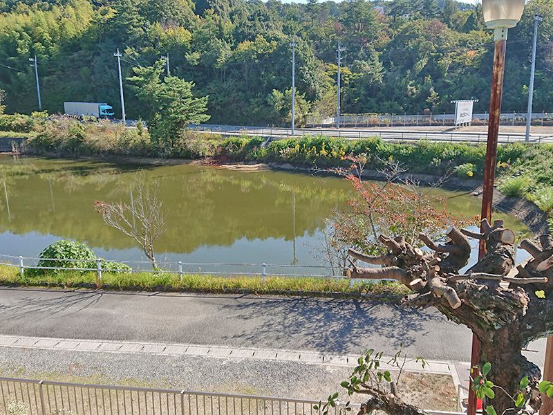 セミタリーパーク寺家