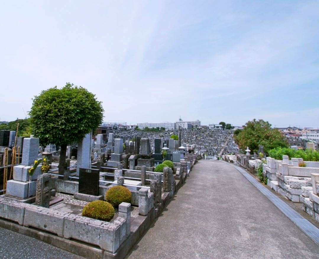 横浜市営 三ツ沢墓地　広大な敷地