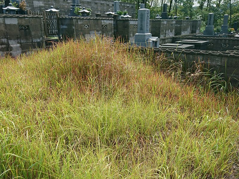 大田市営 野浦浜墓地