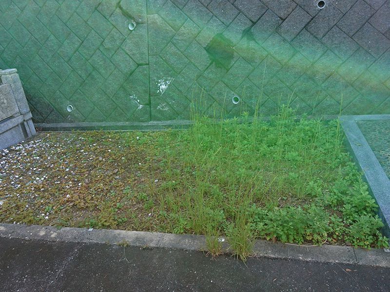 浜田市営 竹迫墓地