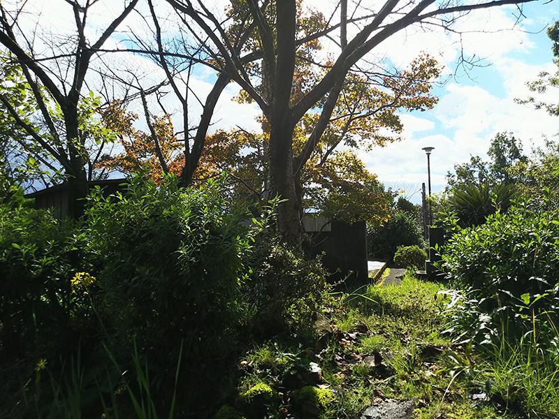 熊本市営 城山墓園