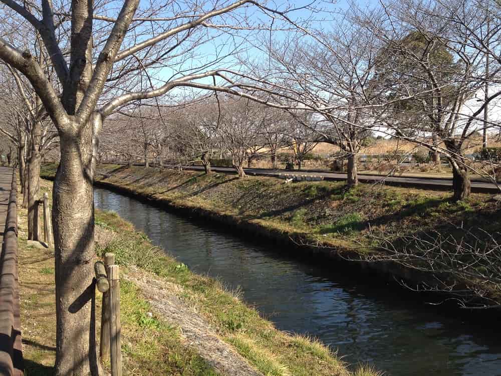 船橋中央メモリアルパーク　周辺にある海老川