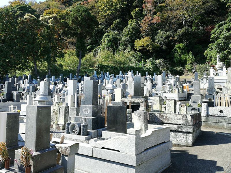 蓮華院