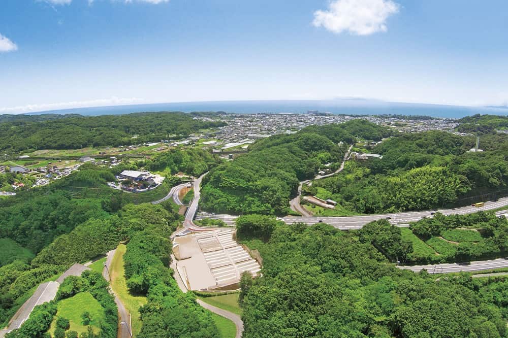 メモリアルパーク大磯　自然を溢れる近隣道路