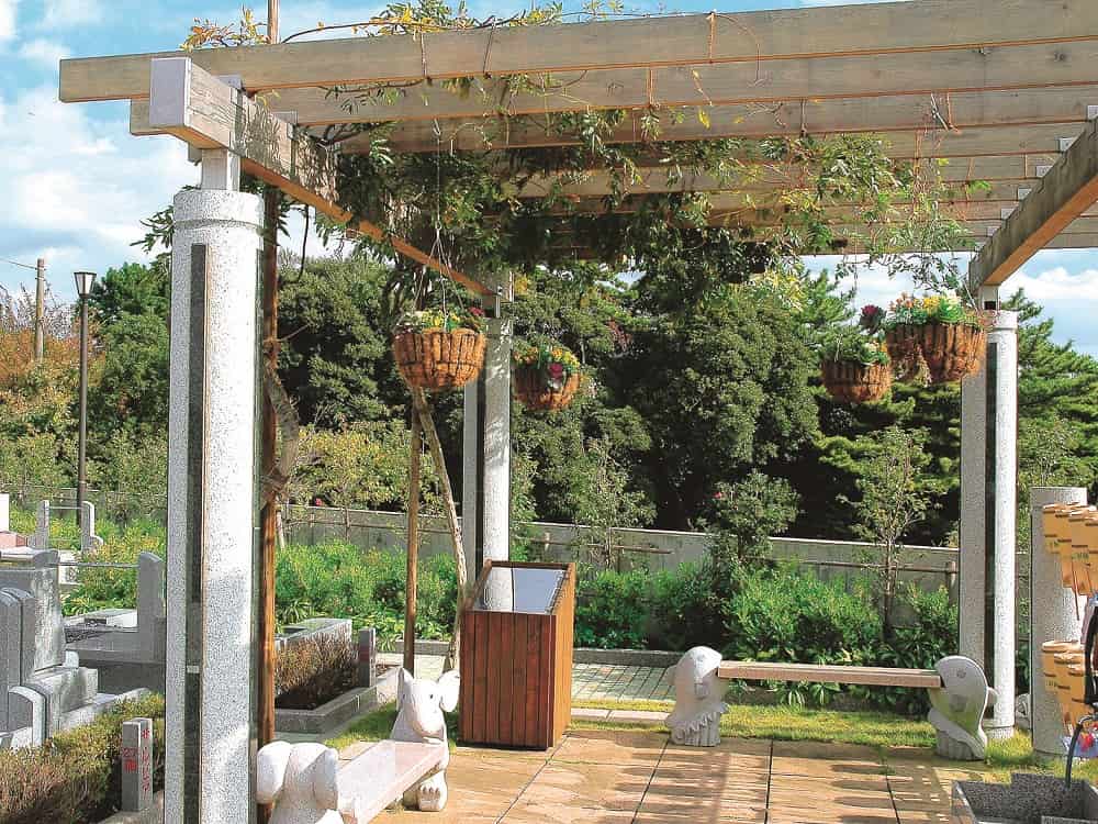 湘南フォレスト　藤棚の下のかわいいベンチ