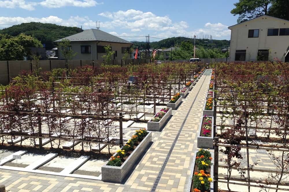 たきやま台墓苑　墓石の背面に生垣が配置された墓域