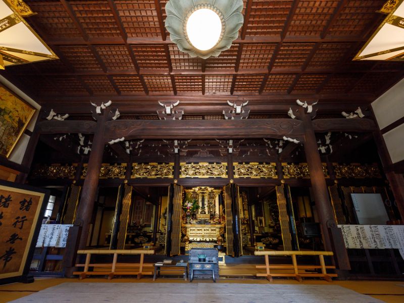 正德寺 欅の杜 樹木葬 樹心～じゅしん～