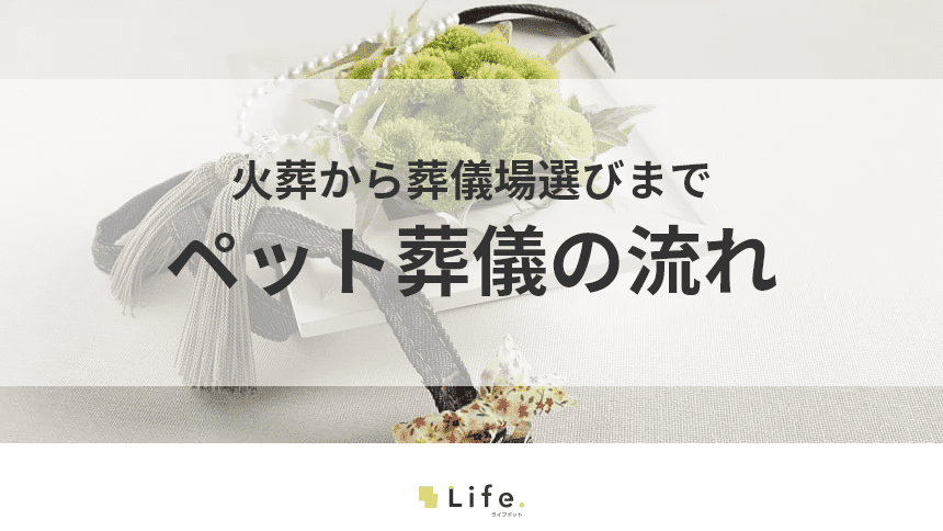 ペット葬儀の流れを解説!愛する家族との後悔しない別れ