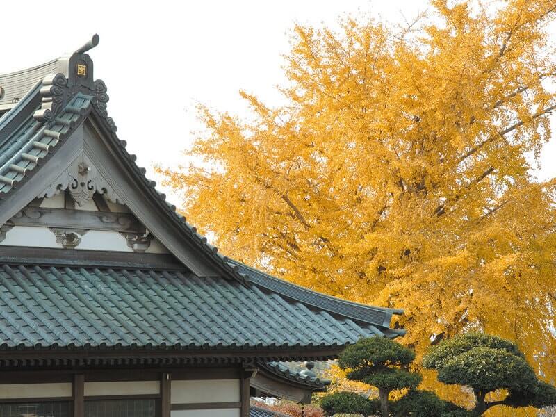 蓮華廟　紅葉が美しい植栽