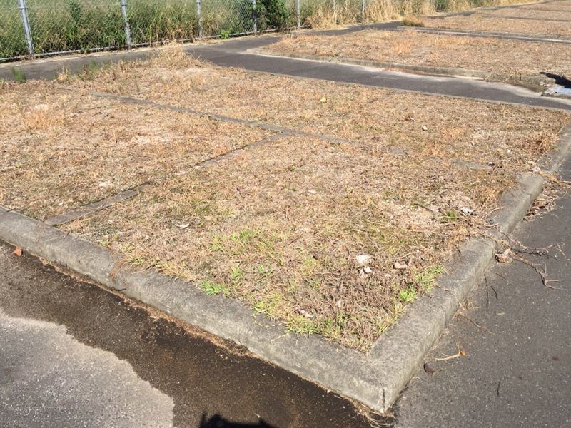 琴浦町営 きらり墓地