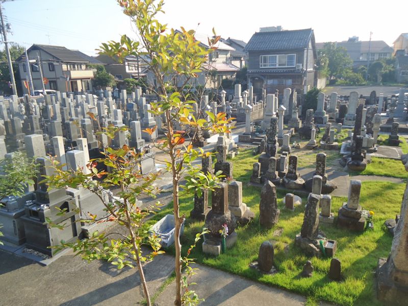 妙要寺墓地