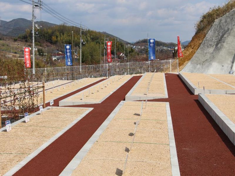 いずみ中央霊園