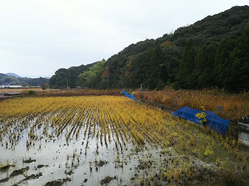 高知市営 下秋山墓地