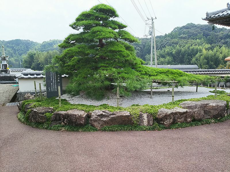 高知市営 上秋山墓地