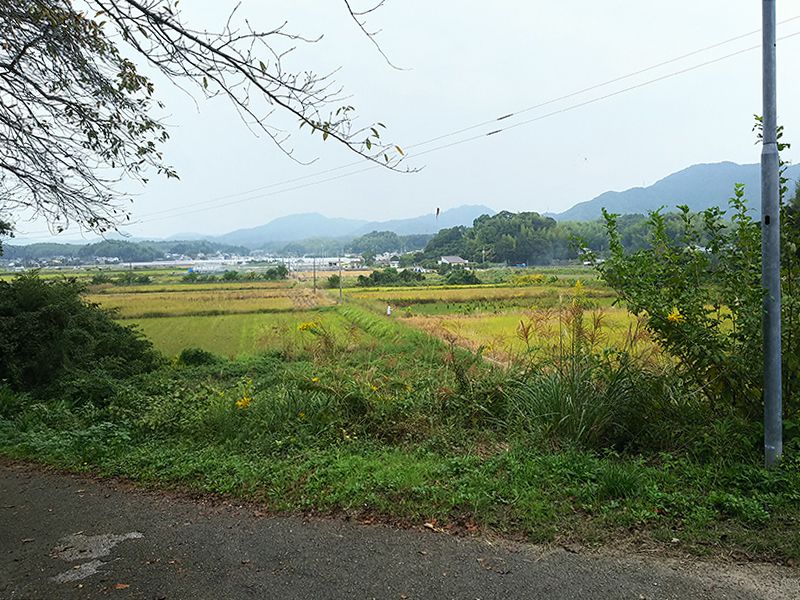 高知市営 平和墓地公園