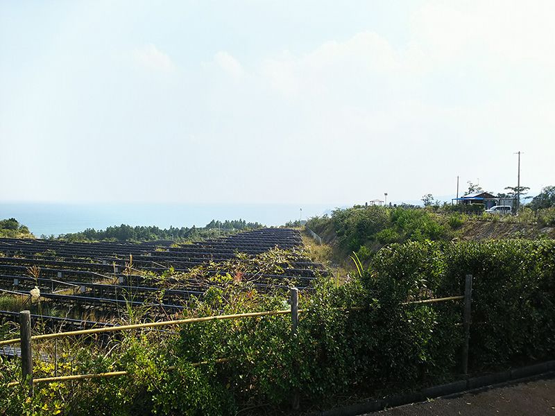 四万十・双海霊園