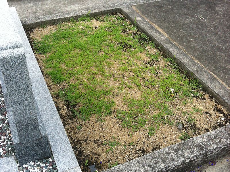 丸亀市営 安川墓地