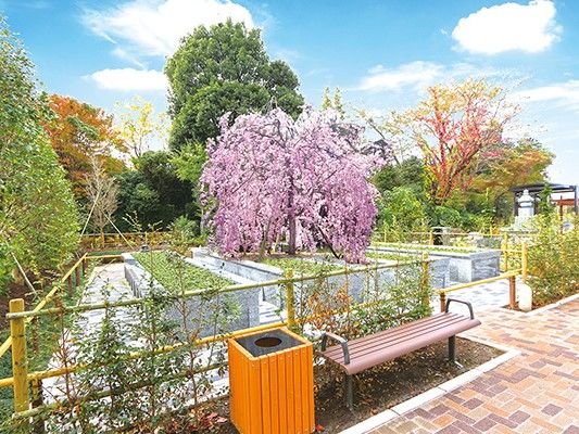 川口 緑の霊園 安行彩樹園地 樹木葬さくら