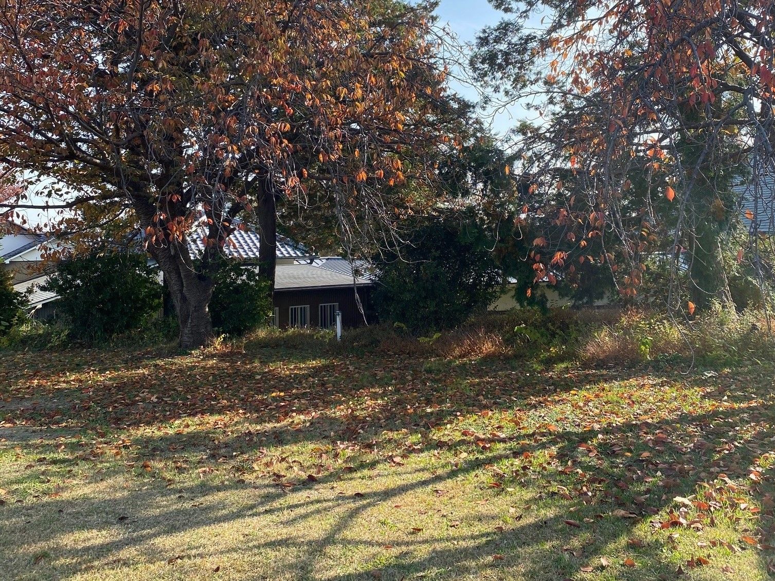 法雲寺 新百合ヶ丘メモリアルパーク