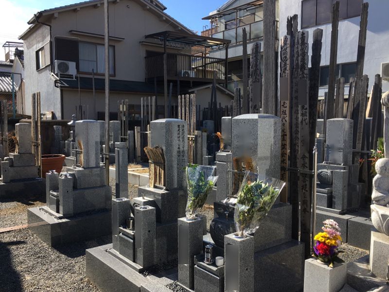 妙蓮寺