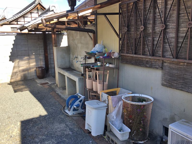 妙蓮寺