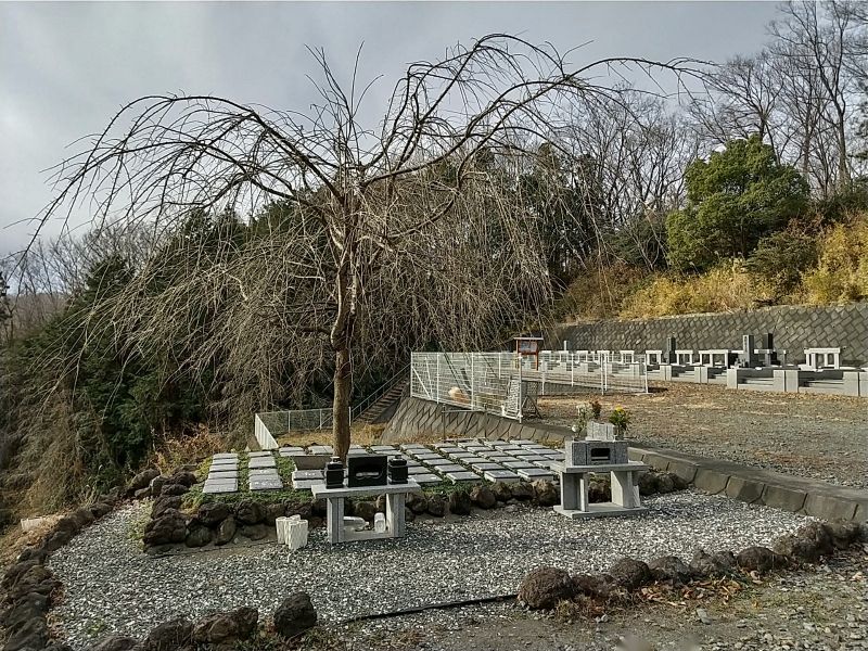 山名霊園　樹木葬