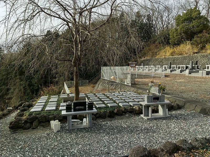 山名霊園　樹木葬