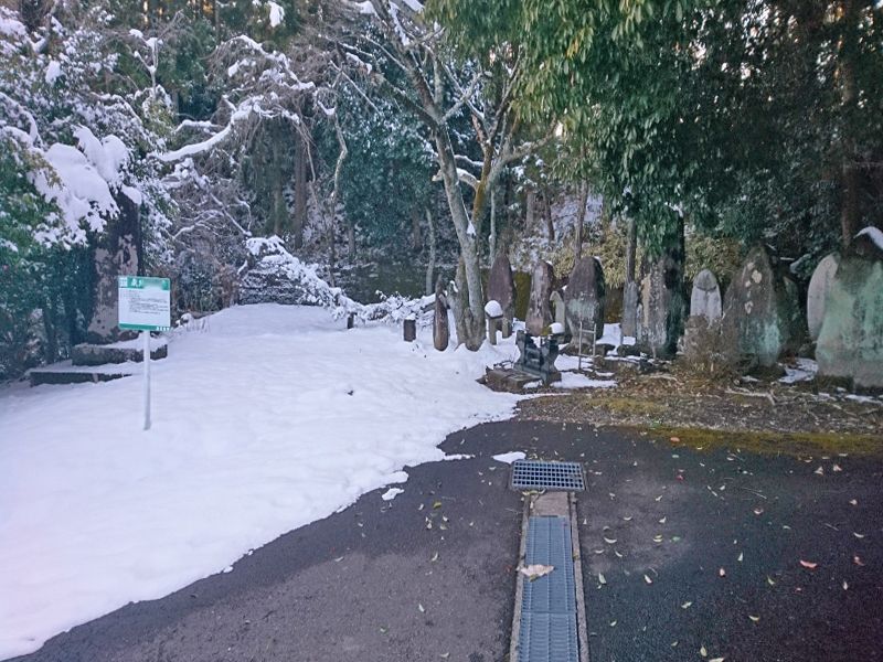 樹木葬霊園 マイメモリーいずみ