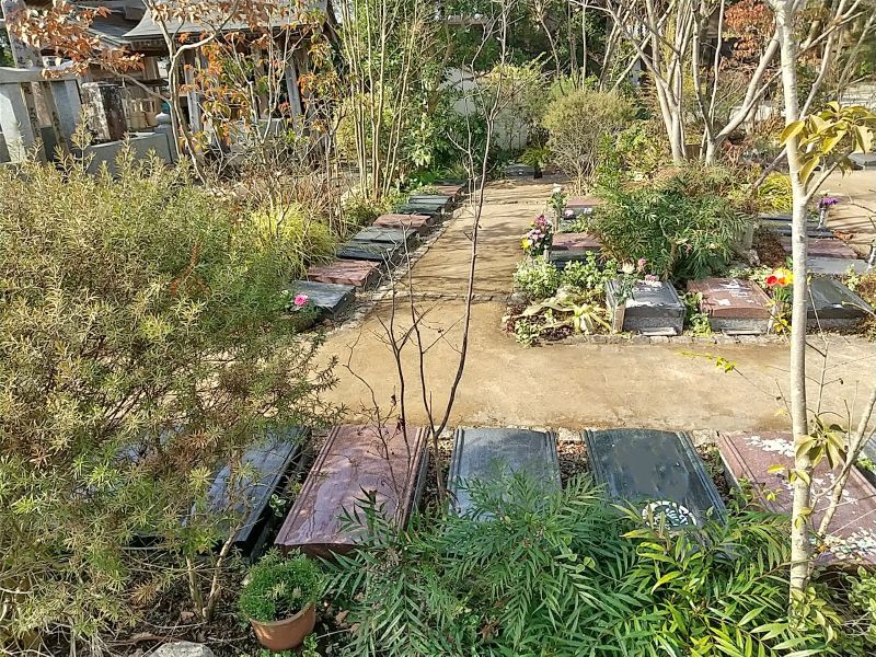 本迹寺 いすみ庭苑