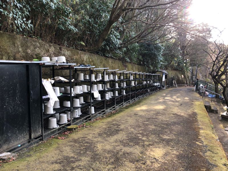 延仁寺