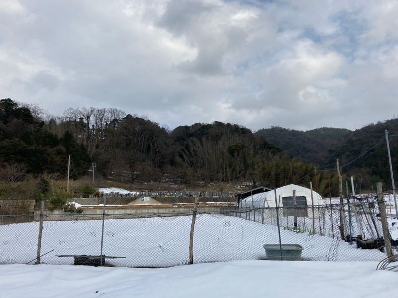 京丹後市営 浜詰墓地