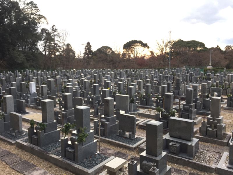 興聖寺