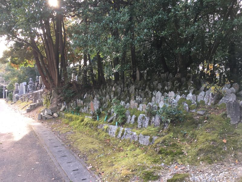 西小墓地